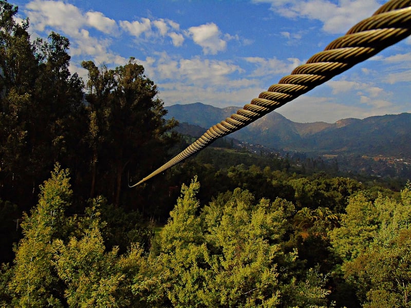 Zip Lining through Lush Jungles